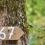 Camping Glamping Le Pech *