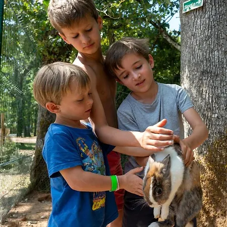 Camping Glamping Le Pech