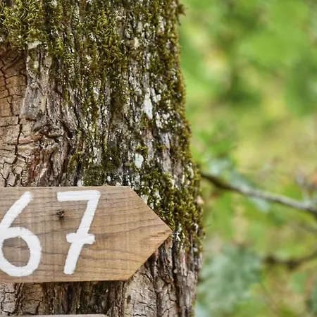 مكان تخييم Glamping Le Pech *