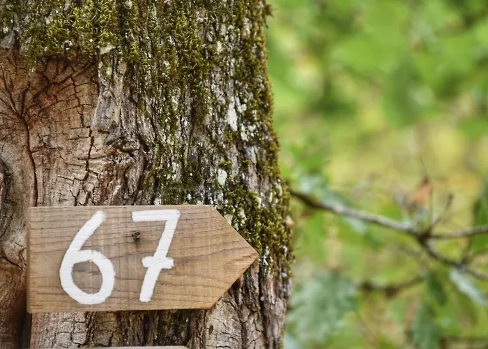 Camping Glamping Le Pech *